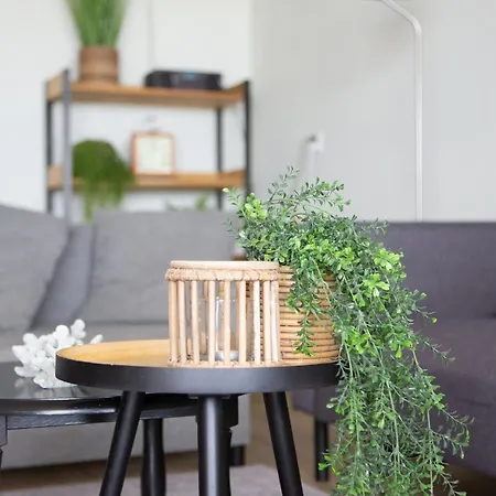 Sonnenterrasse Apartment *